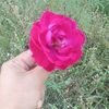sohail.khan35611