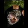 edisonptstopi