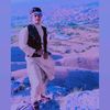 malek.zadeh