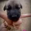 nguoinhenday0