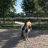 nurcsjeerle