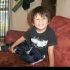 santino__rcr