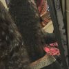 nevnicole21