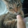 samuel.o.gato