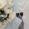 shai_313_shai