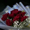 sally.almohammadi