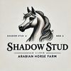 shahdow03