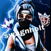 swagnholt13
