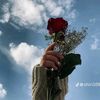 user16609610998458