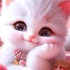basantwahid1