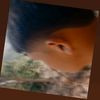 joshua.gr15