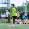 haidang_184