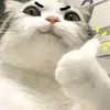 jlnmy5