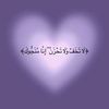 nourhassan1967