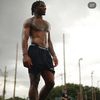 spxzy_amp