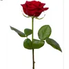 jihad_m4ghribia