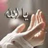 ummfarid0