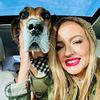 bdogfriendly