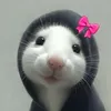 linh.chipp44