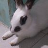 samantha1_244