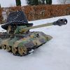 wiggletontigerii