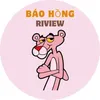 baohongreviews1