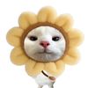 flowerryyy6