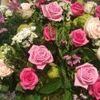 user2881034184161