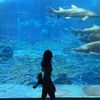 thao_o_han