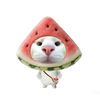 chintya7257