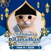 andika.wijaya120