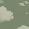 catkayan12
