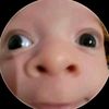 vicepotoloquito