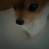 mimi.m572