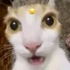 phamminh_phuc
