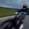 tomzi_2.0_