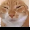 sigmavertti