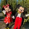 MaskoteMinnie