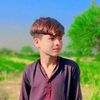 vinesh.kumar289