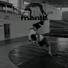 kasai334