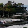 bakol.gedang743
