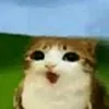 meowl_52