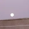 ahmed1230853