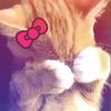 user170912878