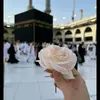 user2603326381966