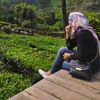 pisces86ayu