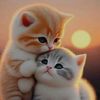 user7561985938111