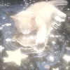 roa.z2