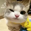 gabebuhian