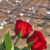publicprofile7